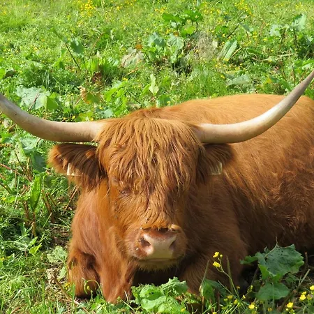 Apartment Sunshine Schilchegger