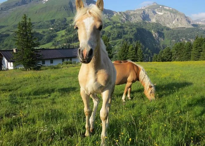 Apartment Sunshine Schilchegger *