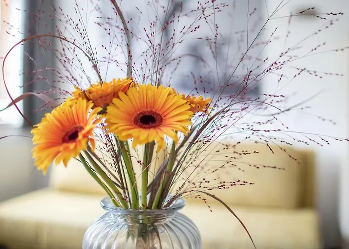 Apartment Sunshine Schilchegger *